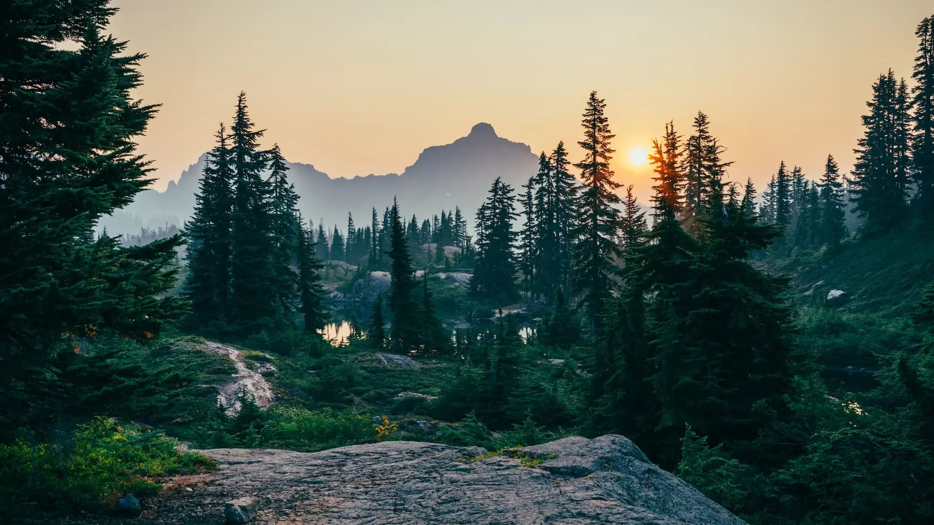 Forêt corrézienne – activités de plein air et randonnée