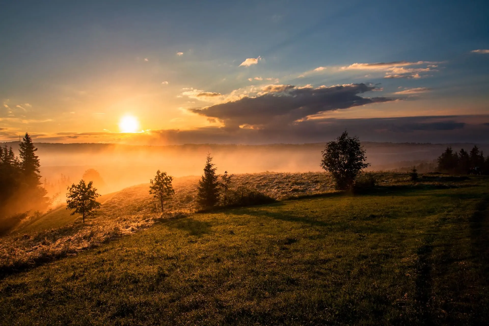 Paysage de forêt corrézienne au cœur du terroir gastronomique